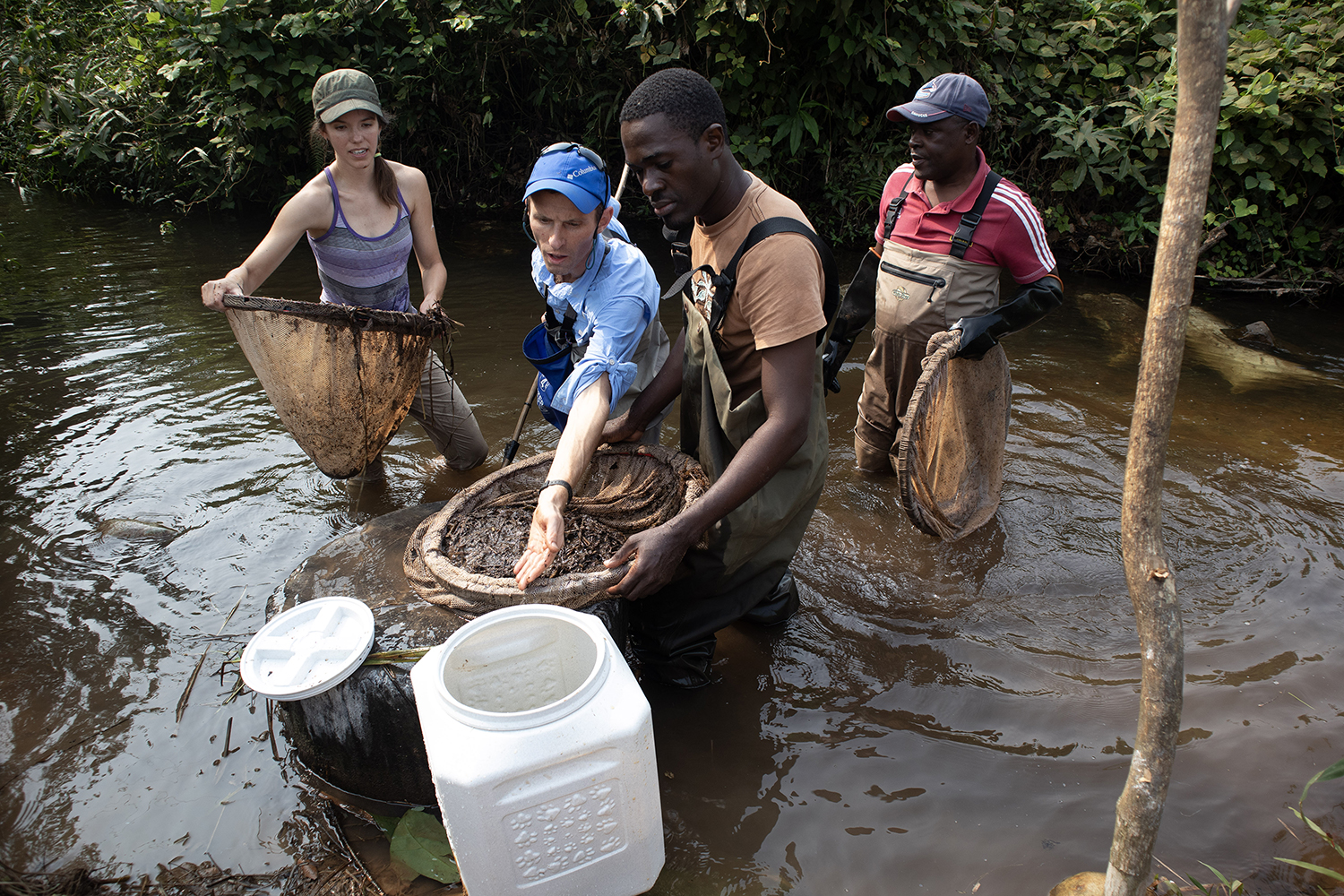 Jason Gallant and team collecting electric fish in Gabon; credit Lauren Koenig
