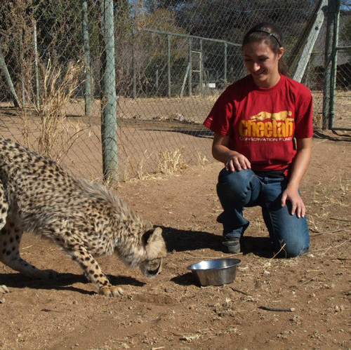 Olivia Spagnuolo kneeling next to a cheetah.