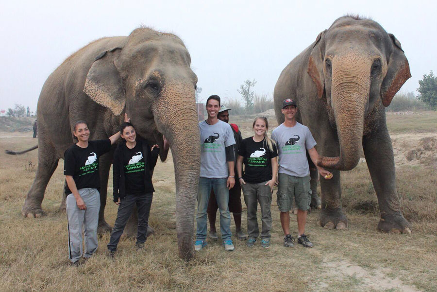Rachel Emory and team members standing by elephants in India
