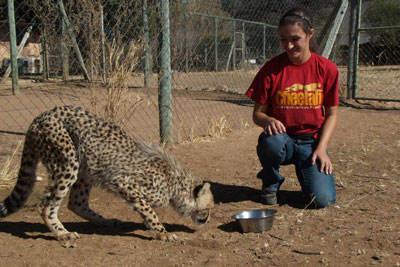 Olivia Spagnuolo kneeling next to a cheetah at the Cheetah Conservation Fund 